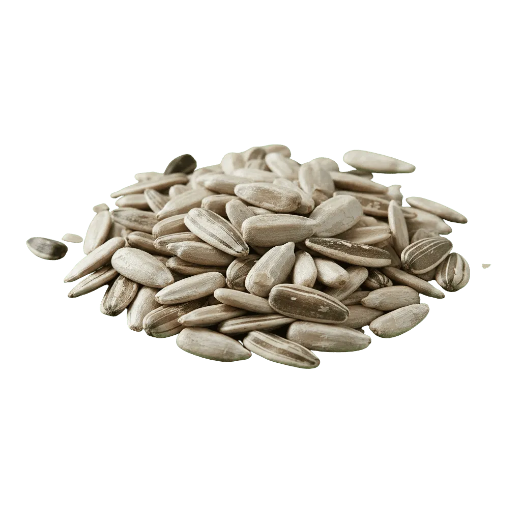 Sunflower Seeds
